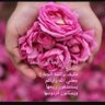 Abu Ahmmad profil fotoğrafı