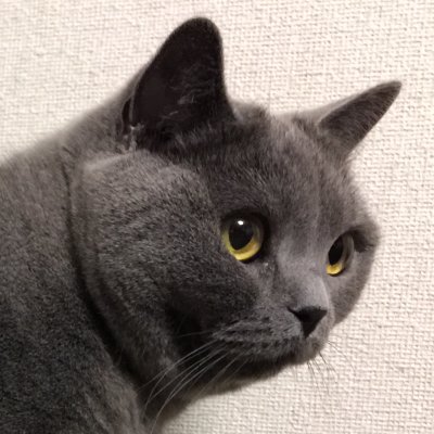 TarrCake's profile picture