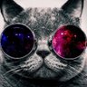 Om Cat Sat profil fotoğrafı
