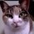 Profilbild von 光川潔