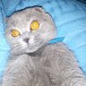 Марианна's profile picture