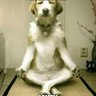 Фото профиля MaT Goz