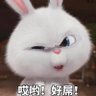 付建锋's profile picture
