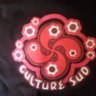 Фото профиля CultureSud64 φ🔻🍒🌿🐝 🪱 🦔💧 🐢 🆙 AEC✌⏚