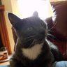 kenneth wanders's profile picture