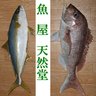 魚屋 天然堂 profil fotoğrafı