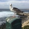 Tim profil fotoğrafı