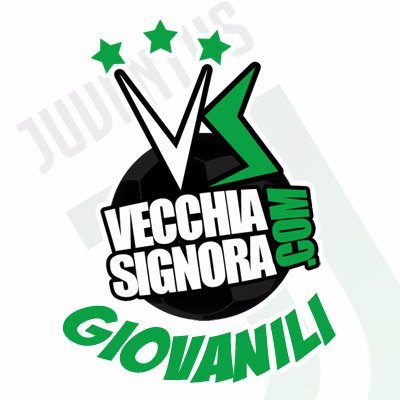 JuveGiovanili's profile picture