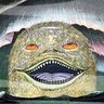 セドナ's profile picture