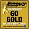 Фото профиля Motorsports Go Gold