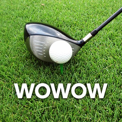 wowowgolf's profile picture