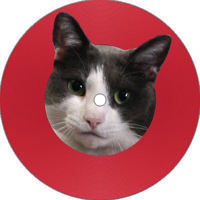 tatamixcom's profile picture