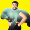 Profilbild von Manateeshirt