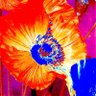 Фото профиля あとらん(旧artlife55)