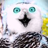 👽 Julio🙋‍♀️🔻 profil fotoğrafı