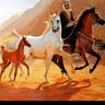 fahad172 的头像