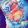 Profilbild von D3b'S