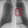 Men Of Scarlet & Gray's profile picture