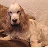 Eddie profil fotoğrafı