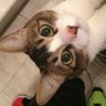 kabu profil fotoğrafı