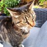 Profilbild von Mike