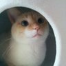 Profilbild von Con
