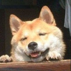 hatiware000's profile picture