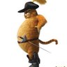 rolo's profile picture