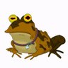 Profilbild von Ewan