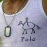polo profil fotoฤrafฤฑ