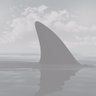 SharkFinTech's profile picture