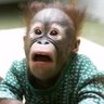 Dabeuliou's profile picture