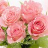 المجره's profile picture