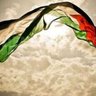 Profilbild von Palestine Saleh