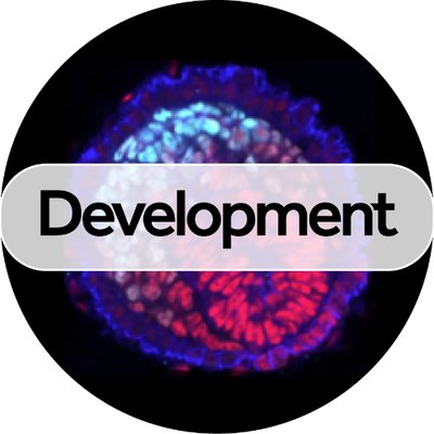 Dev_journal's profile picture
