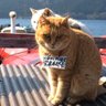 ちぎりぱん profil fotoğrafı