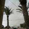 Фото профиля مسلم عربي معاصر