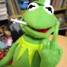 Profilbild von PNutz