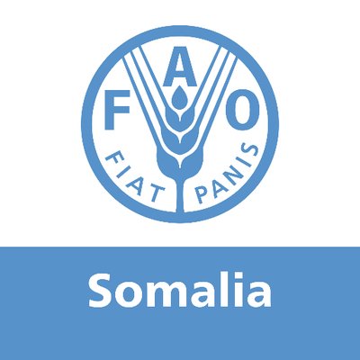 FAOSomalia's profile picture