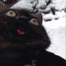 Sucio Dan's profile picture
