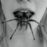 Lengüilargo's profile picture