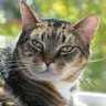Mister B's mom's profile picture