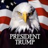 Honey Questor - President Trump 2024's profile picture