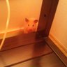 fumi(6_6) 的头像