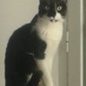 BLACKY's profile picture