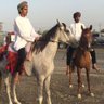 الشاعر سالم بن علي الكلباني's profile picture