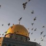 Фото профиля wisam saleh