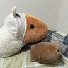 ると。's profile picture