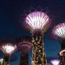 Фото профиля のり