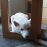 ゆうがママ's profile picture